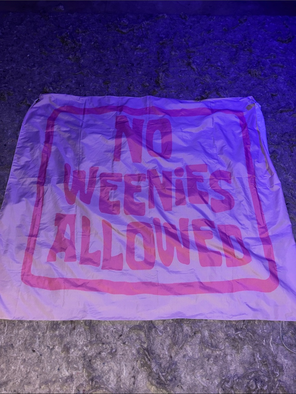 No Weenies Allowed Graphic Tapestry